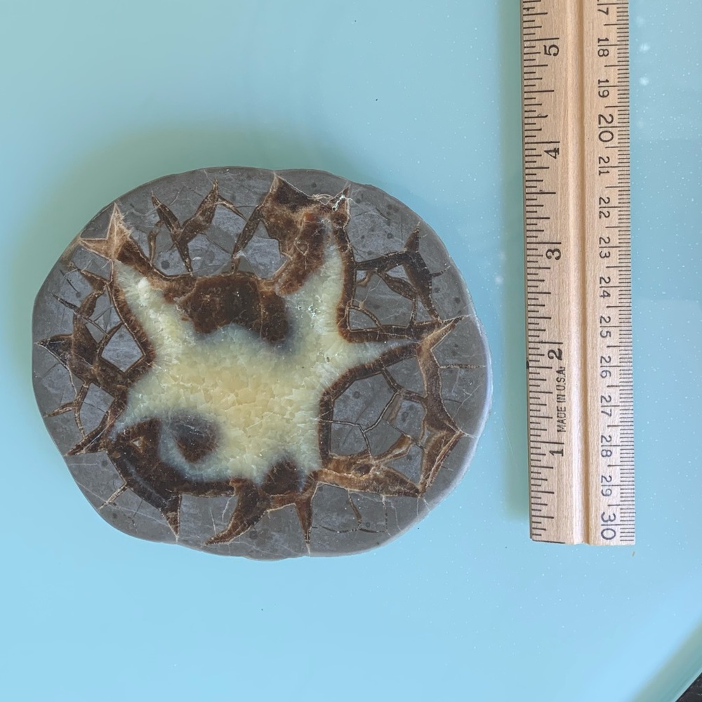 Polished Septarian Dragon Egg Slab - Picture 6 of 6